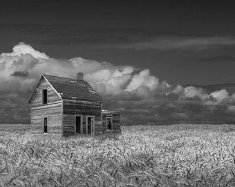 Rural Landscape, Wheat Field, Abandoned Farm House, Prairie Farm House, Black and White, Country Art, Fine Art Photograph, Sepia Tone, Print