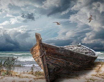 Beached Boat Nautical Seascape Photograph: Flying Sea Gull Art