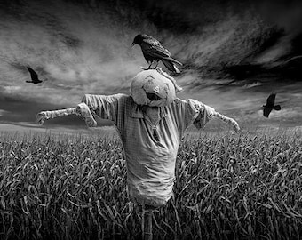 Black Crows over a Cornfield with Scarecrow No.BW0037 Black and White Fine Art Surreal Photograph