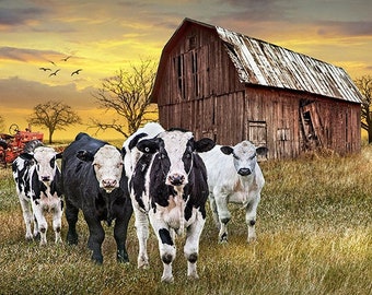 Dairy Farm Landscape Photograph: Rustic Barn, Cows, Tractor - Farmhouse Wall Decor