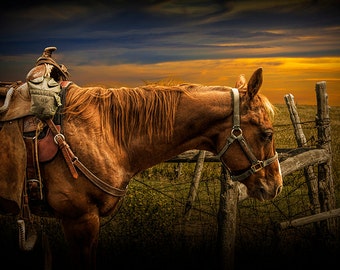 Western Art, Saddle Horse Photograph, Western Horse, Horse Wall Decor, Home on the Range, Cowboy Art, Horse Ranch Corral, Sunset Landscape