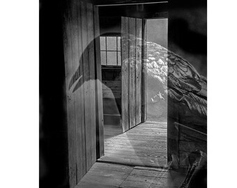 Black Gothic Raven Ghost by a Doorway Semi Transparent. A Black and White Fine Art Surreal Fantasy Bird Photograph