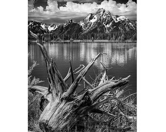 Jackson Lake, Grand Tetons, National Park, Tree Stump, Mountain Reflections, Wyoming Landscape, Black & White, Sepia, Landscape Photograph
