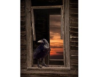 Raven Photograph: Gothic Sunset, Abandoned House Window