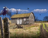 Barn for Sale, Barn Photograph, Black Crows, Gothic Photograph, Black Ravens, Rural Landscape, Barb Wire Fence, Barn Art, Farm Print, Road