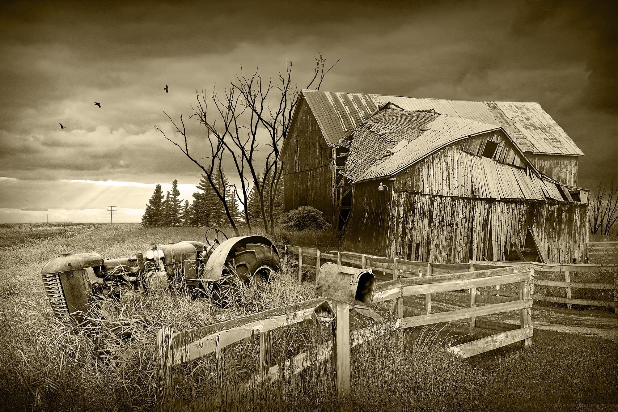 Abandoned Rustic Farm Landscape Art Print: Red Tractor, Weathered