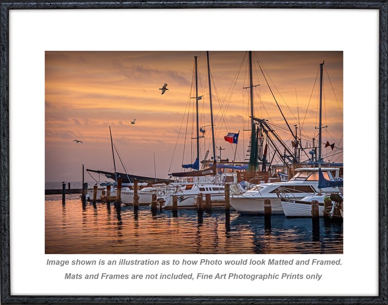 Texas Aransas Pass Harbor at Sunrise, Texas Nautical Wall Decor Photograph in the Gulf of Mexico with Harbor Boats and Flying Gulls image 3