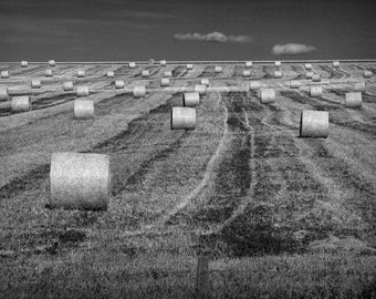 Hay Straw Bales, during Farm Harvest, Rural Country Farm Scene, Southern Alberta Canada, Black and White, Fine Art, Landscape Photograph