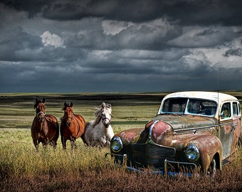 Abandoned Automobile, Western Horse, Rustic Wall Decor, Modern Horsepower, Vintage Automobile, Saddle Horse, Prairie Landscape, Car Fine Art