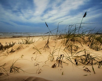 Sand Dune with Beach Grass on Padre Island National Seashore in Texas on the Gulf of Mexico No.13882 A Fine Art Seascape Photograph