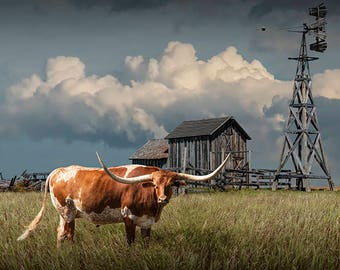 Longhorn Steer with Wooden Barn and Farm Windmill in a Prairie Landscape, Farmhouse Wall Decor,  Western Fine Art Wall Print