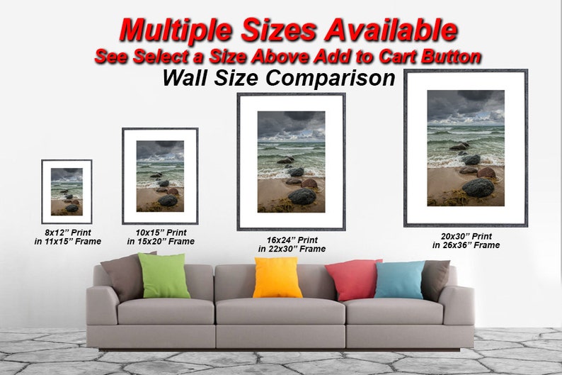 Gulls flying over a Golden Wheat Field at Sunset in Michigan image 2