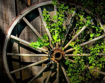 Wagon Wheel Photograph, Wooden Wheel, Rustic Wall Decor, Wagon Spokes, Green Leaf Vines, Ontario Canada, Nature Photograph, Still Life Art