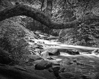 Mountain Stream, Smoky Mountain Photograph, National Park, Woodland River, Tennessee Landscape, Black and White, Sepia Tone, Landscape Photo