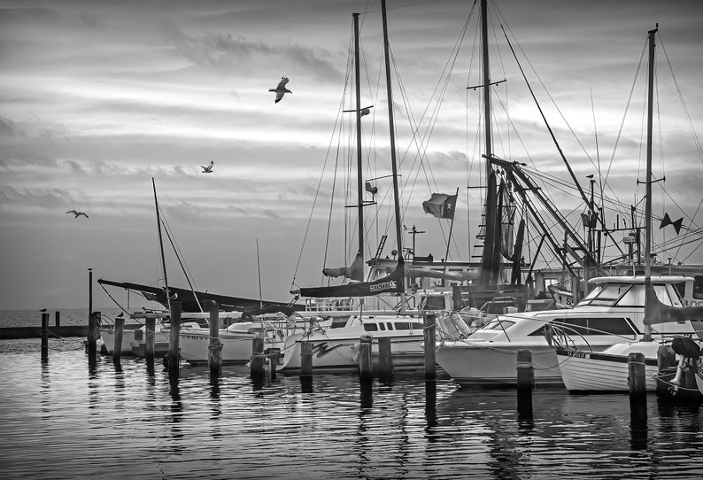 Texas Aransas Pass Harbor at Sunrise, Texas Nautical Wall Decor Photograph in the Gulf of Mexico with Harbor Boats and Flying Gulls image 7