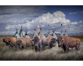 Bison Buffalo Herd by Indian Teepee Village in a Western Landscape, Animal Wildlife, Native American Cultural Tribal Scene, Art Photography