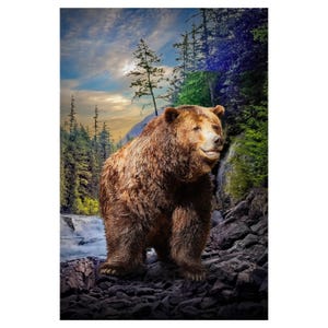 Grizzly Bear Portrait: Yellowstone Wildlife Photography, Cabin Wall Art