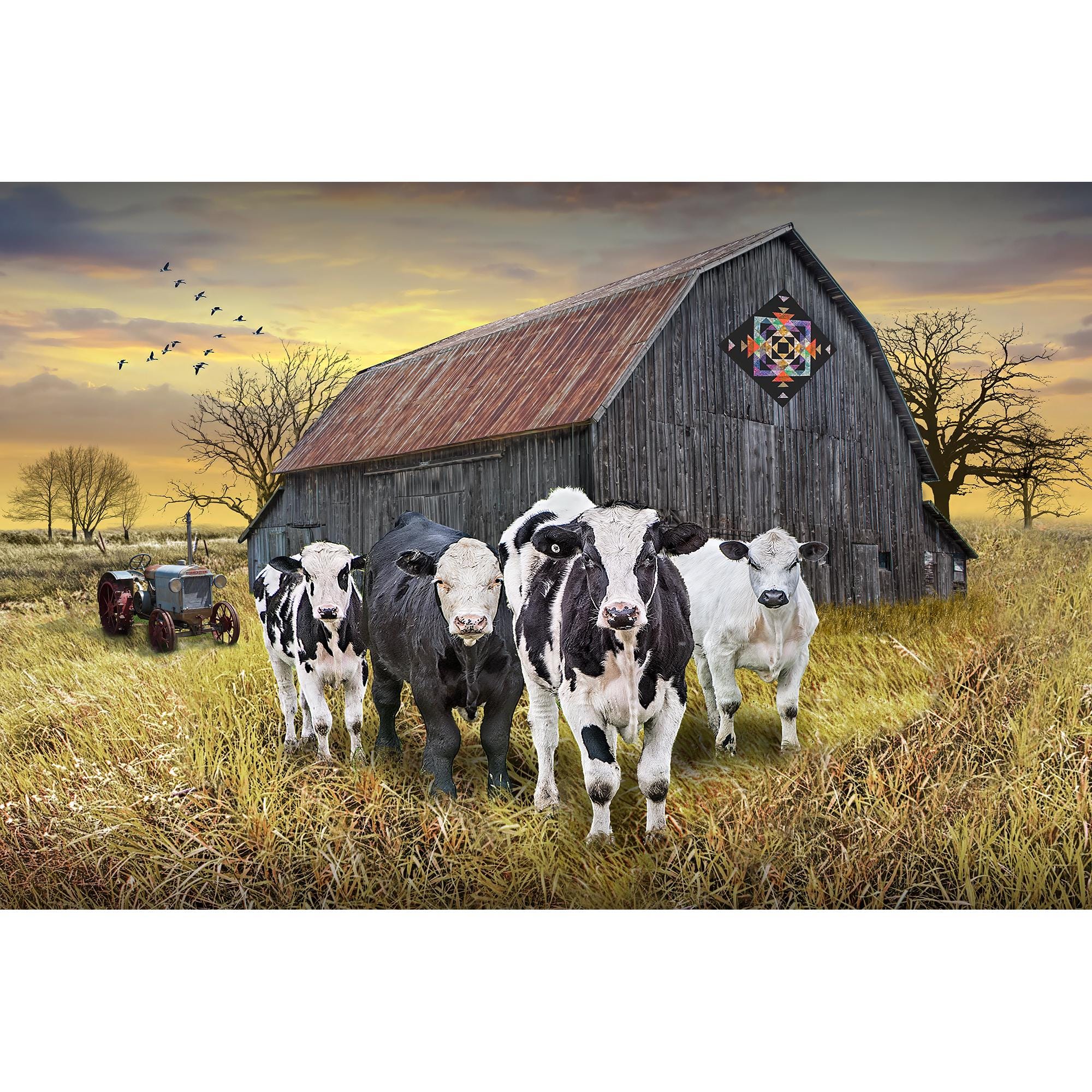 Rustic Farmhouse Cattle Herd Photograph, Barn Quilt Art, Antique Tractor, Large Wall Decor, Metal Prints, Canvas Wraps, Multiple Size Choice