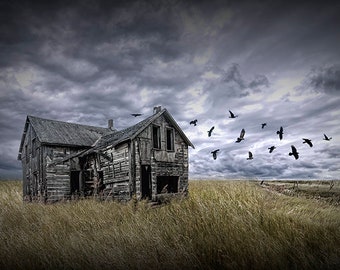 Abandoned Farm House with Black Crows under a Stormy Sky, Gothic Fine Art, Haunted Landscape, Murder a Flock of Crows,, Prairie Landscape