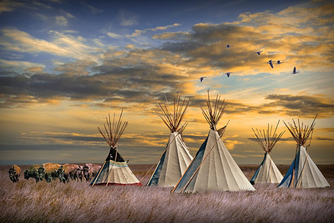 American Buffalo by Indian Teepee Village in a Prairie Landscape