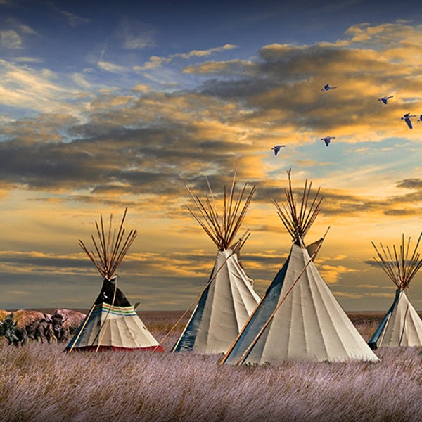 American Buffalo by Indian Teepee Village in a Prairie Landscape, Animal Wildlife, Native American Tribal Scene, Indian Culture, Photography