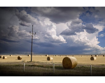 Hay Bales  at Summer Harvest Time in Farm Field with Dramatic Sky, Farm Field Landscape Photo Wall Decor, Color, Black and White, Sepia Tone