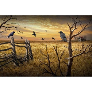 May include: A gray crow perched on a branch of a dead tree in a field of golden wheat. Other crows fly overhead against a cloudy sky.
