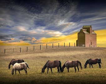 Grain Elevator and Grazing Horses on the Prairie at Sunset, Great Americana Wall Decor Art, Agricultural Landscape Photograph, Canvas Wraps