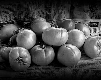Tomatoes on Newspaper Ripening In The Sun Light, Classic Black and White Photograph, Sepia Tone, Fine Art Still Life, Wall Decor