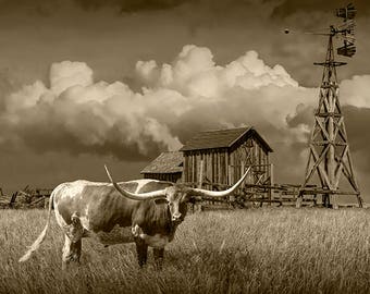 Longhorn Sepia Photograph, Longhorn Steer, Longhorn Cow, Farm Windmill, Wooden Barn, Prairie Landscape, South Dakota, Western Landscape
