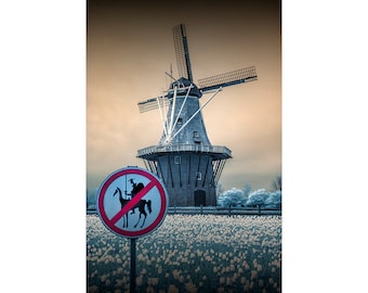 No Tilting at the Windmills with a Don Quixote Sign and Dutch Windmill No.0011 Wall Decor Infrared Landscape Color Fine Art Photography