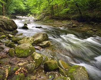 Oconaluftee River a Mountain Stream in the Great Smoky Mountain National Park in North Carolina No.517 - A Fine Art Landscape Photograph