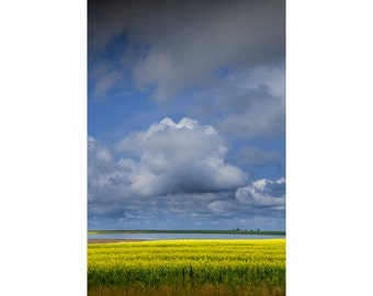 Canola Seed Field and Lake in Southern Saskatchewan Canada Vertical No.3712 Color Wall Decor Fine Art Landscape Photography