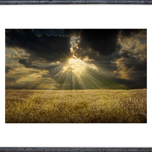 Golden Wheat Field Art Print: Sunbeam Farm Landscape Photography image 2