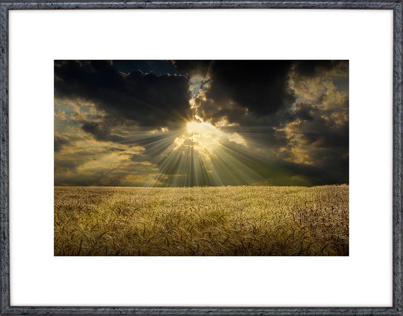 Golden Wheat Field Art Print: Sunbeam Farm Landscape Photography image 2