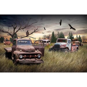 Abandoned Auto Graveyard Photograph: Americana Rustic Landscape Art Print