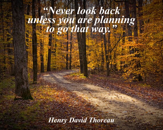 Literary Quote Henry David Thoreau Famous Quote Quote And Etsy