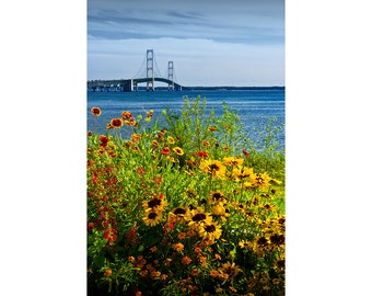 Mackinac Bridge, Straits of Mackinac, Blooming Flowers, Upper Peninsula, Michigan Photograph, St Ignace, Mackinaw City, Landscape Photograph