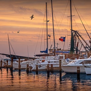 Texas Aransas Pass Harbor at Sunrise, Texas Nautical Wall Decor Photograph in the Gulf of Mexico with Harbor Boats and Flying Gulls image 2