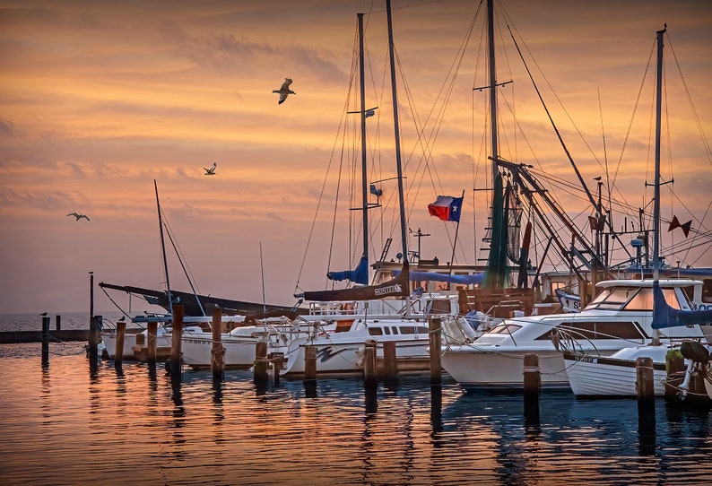 Texas Aransas Pass Harbor at Sunrise, Texas Nautical Wall Decor Photograph in the Gulf of Mexico with Harbor Boats and Flying Gulls image 2