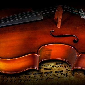 Cello Still Life Photograph: Classical Music Art Print immagine 1