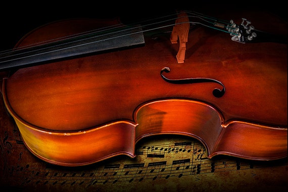 Cello Still Life Photograph: Classical Music Art Print