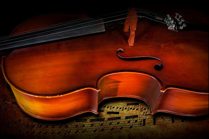 Cello Still Life Photograph: Classical Music Art Print immagine 1