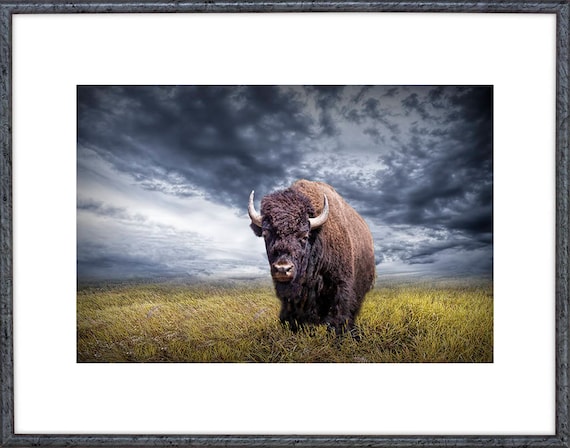 Rustic Bison In Yellowstone Canvas Painting Grand Prismatic Spring Buffalo  Wall Art Prints Buffalo Animal Poster Home Room Decor - Painting &  Calligraphy - AliExpress