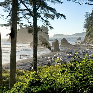 Ruby Beach Seascape Photograph – Olympic National Park Art Print