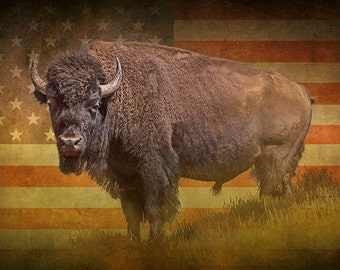 American Buffalo Bison Wild Animal with American Stars and Stripes Flag No.3586FL - A Wildlife Animal Landscape Nature Photograph