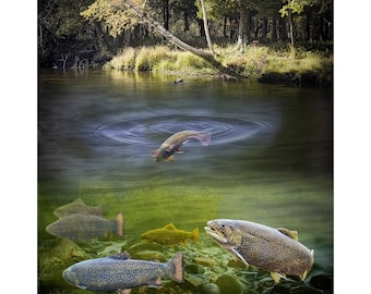 Stream Brown Trout during Autumn Home Wall Decor Photo, Trout Fishing in a Midwest Trout River, Anglers Fantasy Fine Art Print