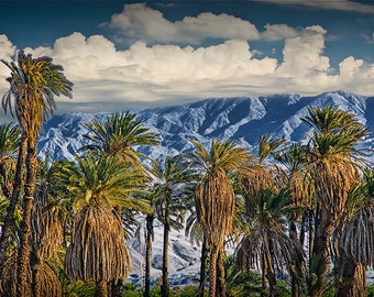 Palm Trees with Blue Mountains and Cloudy Sky near Palm Springs in California No.13746 - A Fine Art Landscape Photograph