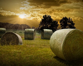 Farm Field with Hay Bales at Sunrise, Rustic Farmhouse Decor, Straw Bales, Farm Field Photo, Color, Black and White, Sepia, Rural Michigan