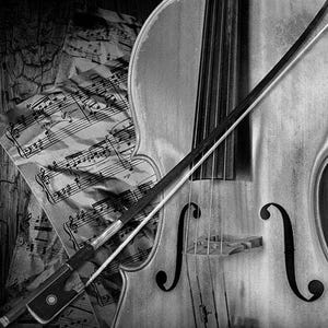 Cello Fine Art Print: Stringed Instrument Photography